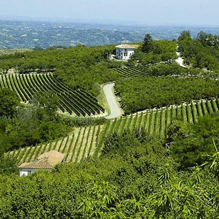 Agriturismo Cascina Anri Mango Eksteriør billede