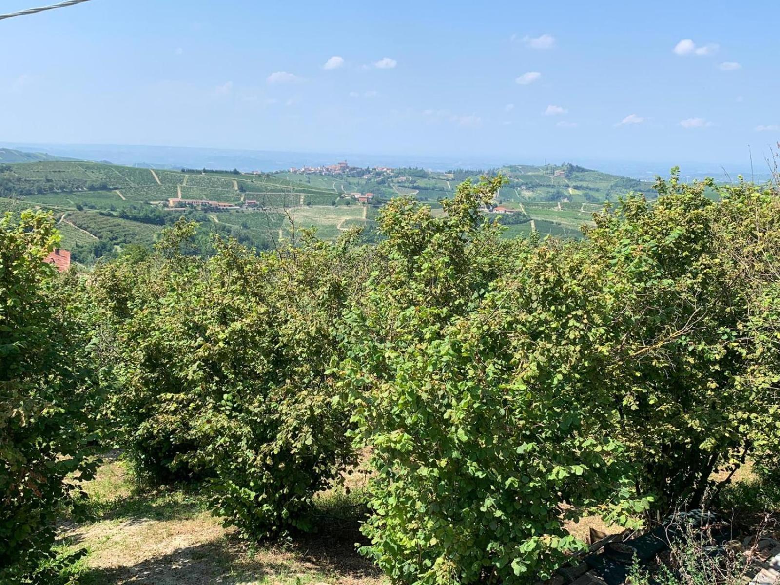 Agriturismo Cascina Anri Mango Eksteriør billede