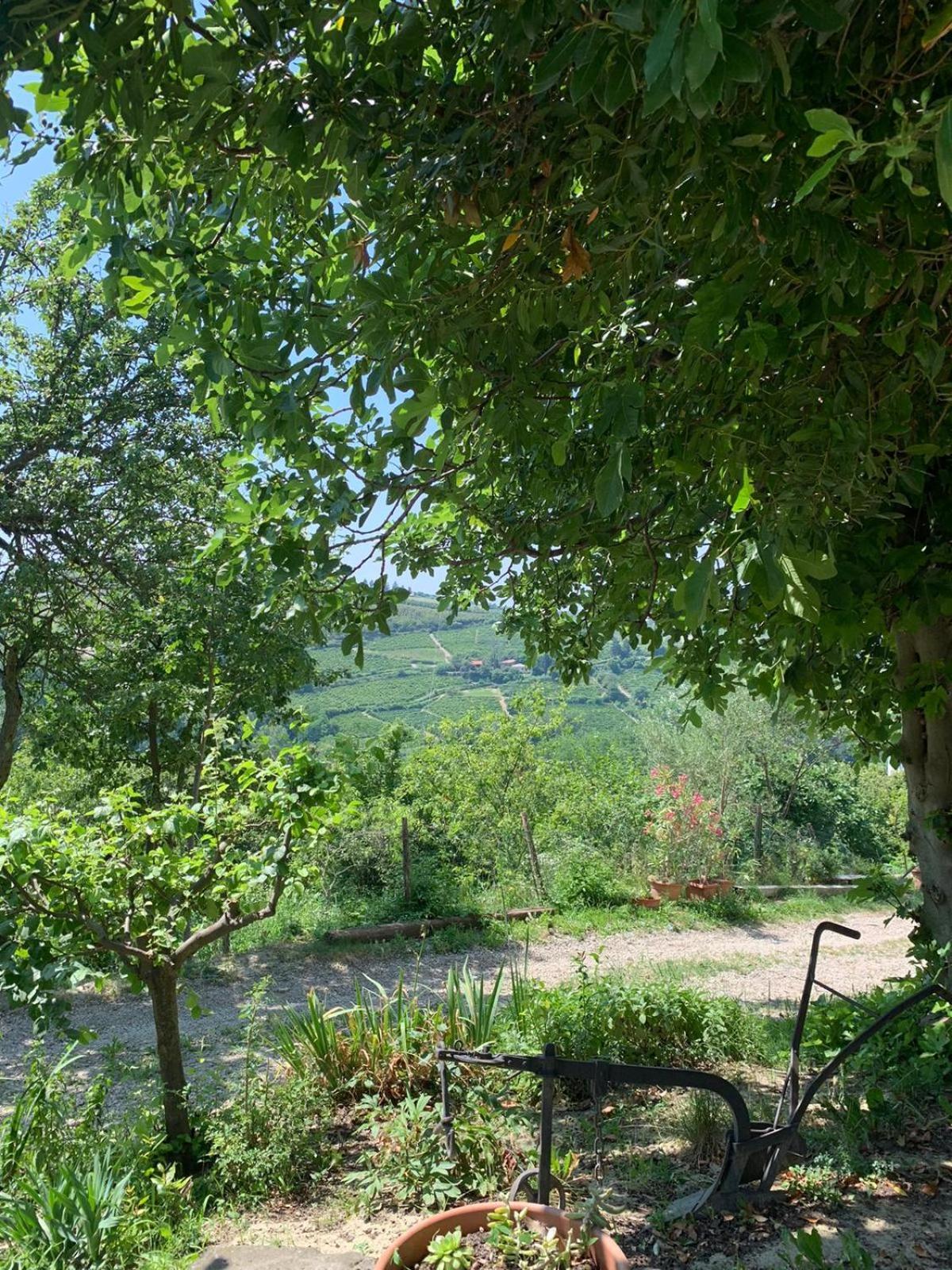 Agriturismo Cascina Anri Mango Eksteriør billede